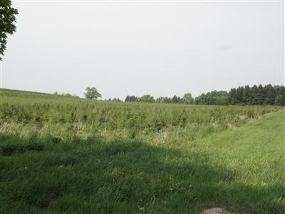 4 East Hazel Road Hart, MI 49420 - Photo 1 of 5 Primary Photo
