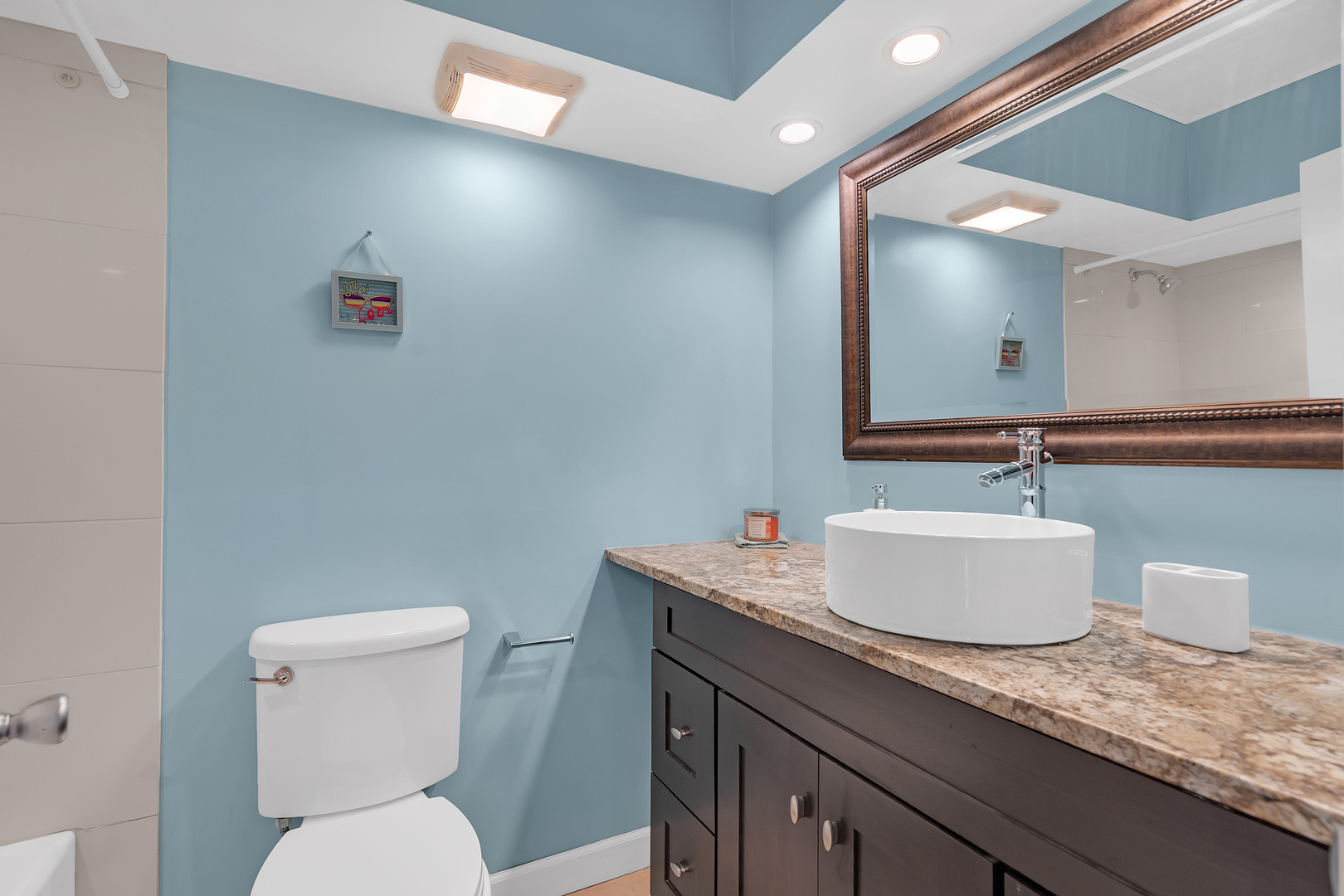 659 South Des Plaines River Road, Unit 2A Des Plaines, IL 60016 - Photo 6 of 28 a bathroom with a granite countertop toilet a sink and mirror