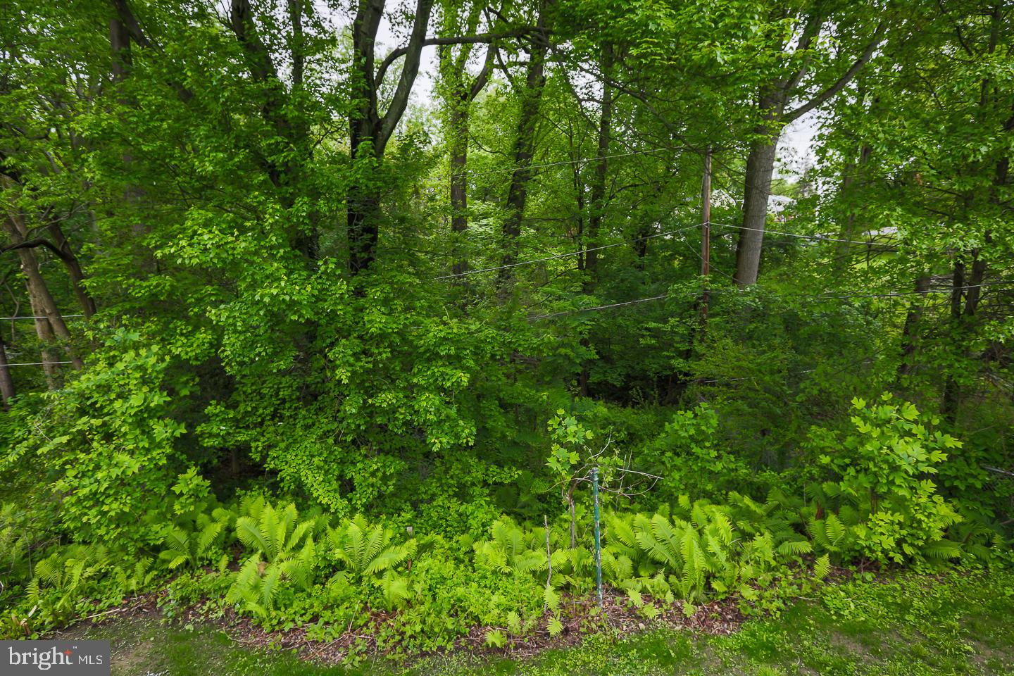 127 North Line Road Newtown Square, PA 19073 - Photo 34 of 35 Gallery Image 34