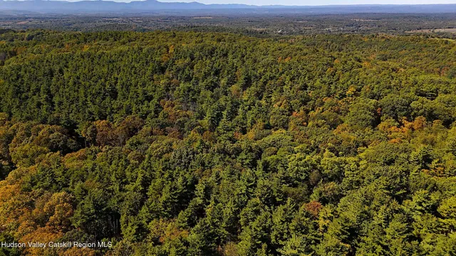a view of a yard with an outdoor space