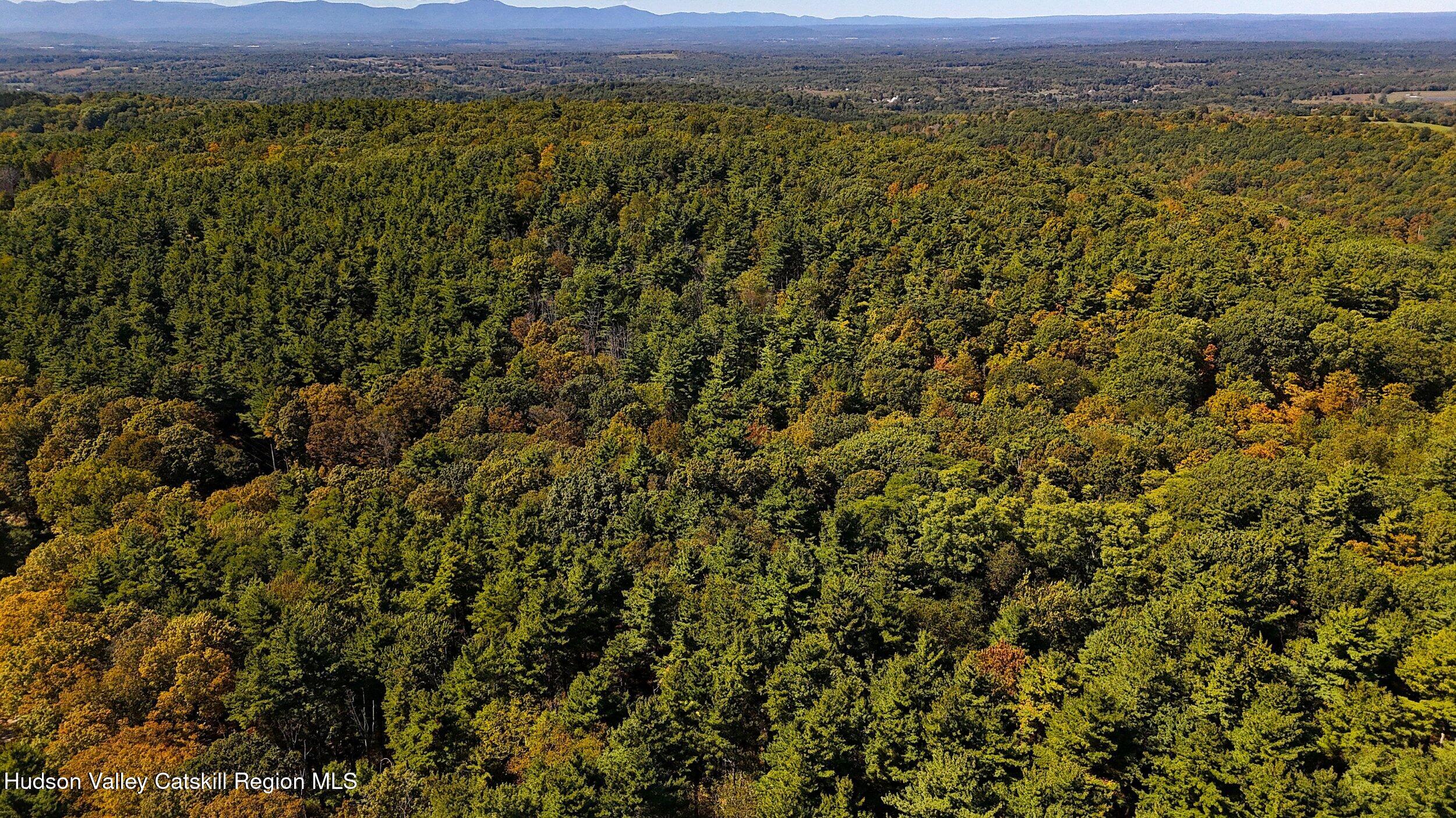 0 Scannell Road Chatham, NY 12037 - Photo 11 of 14 a view of a city with lush green forest