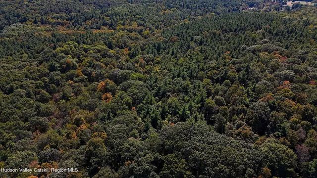 a view of a covered with lush green forest
