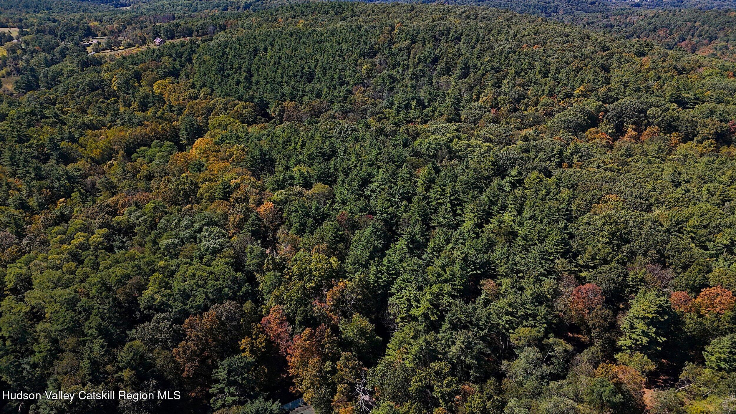 0 Scannell Road Chatham, NY 12037 - Photo 14 of 14 a view of a covered with lush green forest