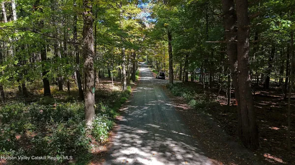 a view of a forest with trees