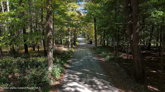 a view of a forest with trees