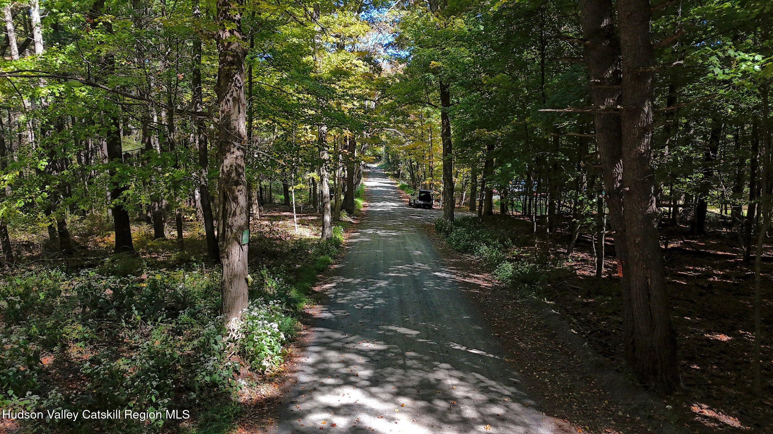 0 Scannell Road Chatham, NY 12037 - Photo 3 of 14 a view of a forest with trees