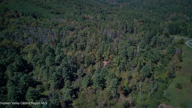an aerial view of a forest with a yard