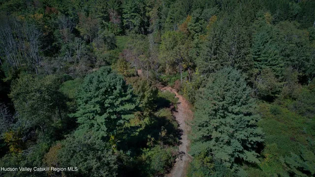 a view of a forest with a street