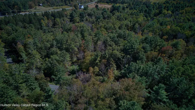 an aerial view of a forest with a yard