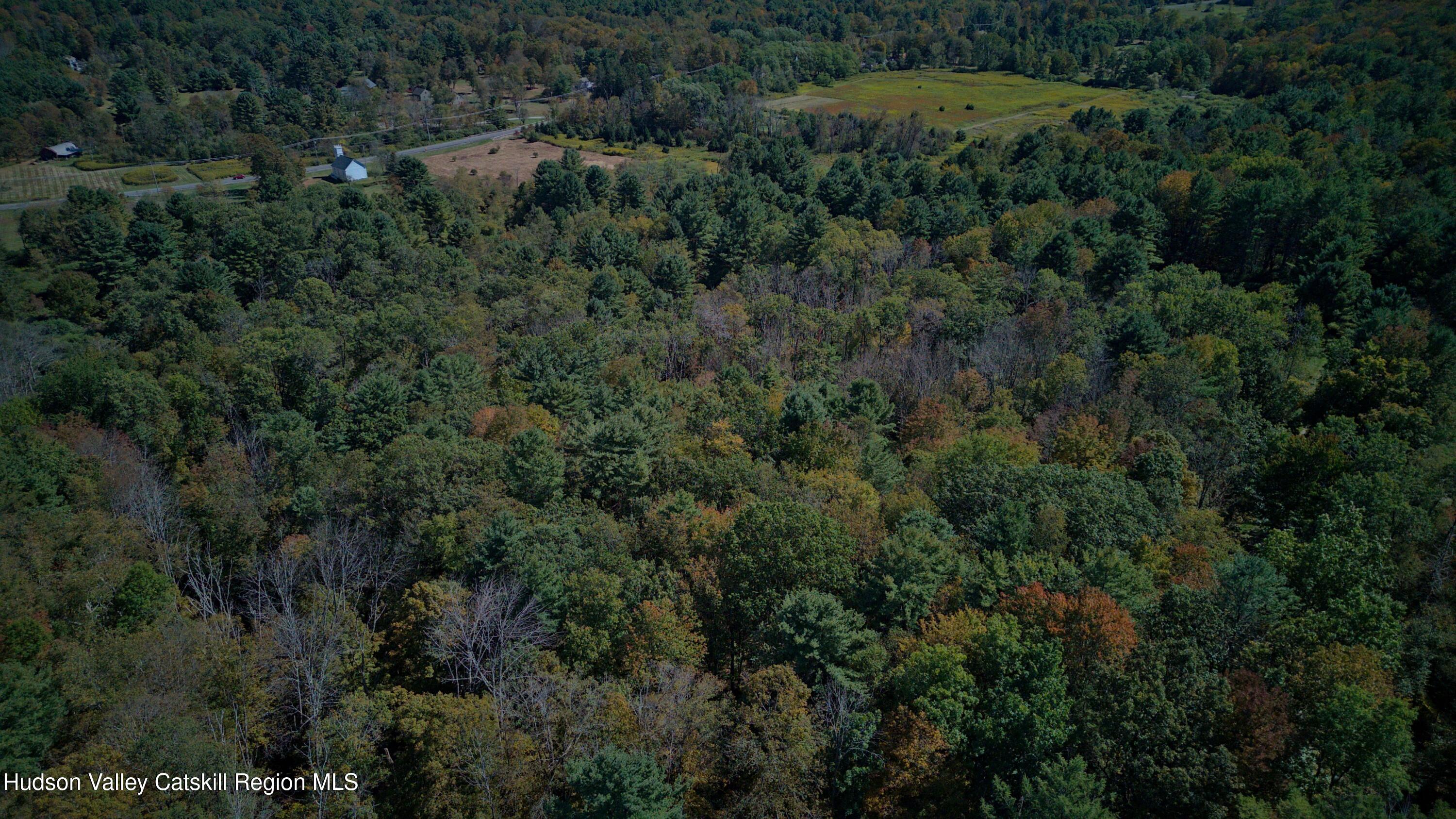 0 Scannell Road Chatham, NY 12037 - Photo 8 of 14 an aerial view of a forest with a yard