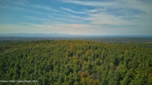 a view of a city with lush green forest