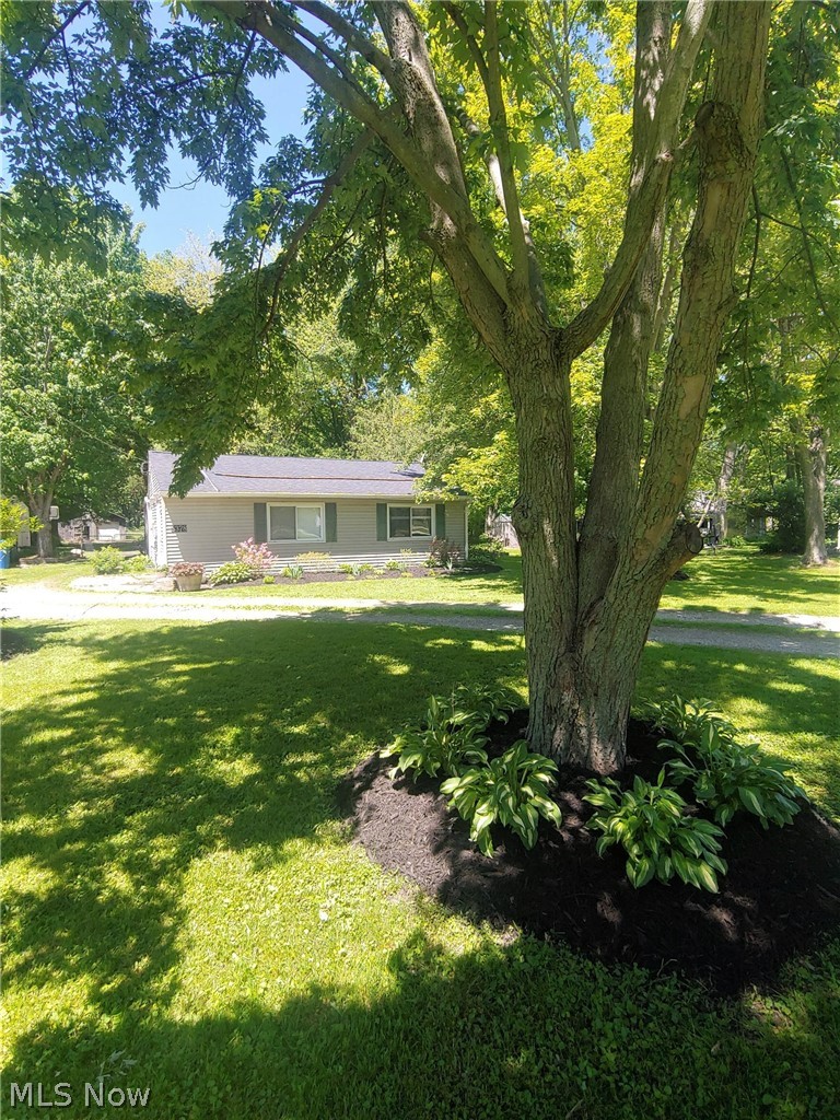 5378 Lear Nagle Road North Ridgeville, OH 44039 - Photo 5 of 35