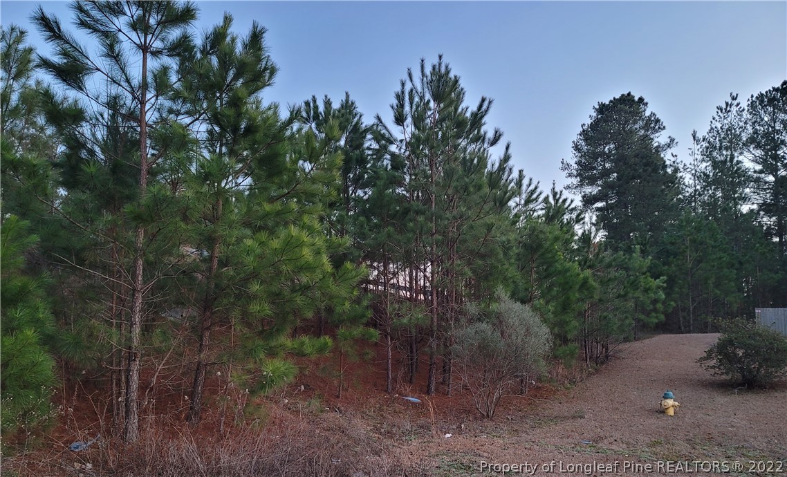 409 Bramblegate Road Hope Mills, NC 28348 - Photo 1 of 7 Gallery Image 1