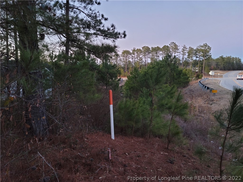 409 Bramblegate Road Hope Mills, NC 28348 - Photo 2 of 7 Gallery Image 2