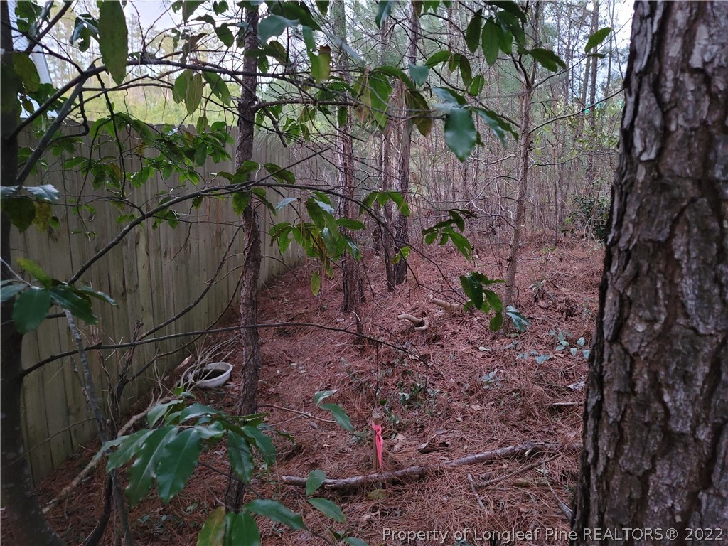 409 Bramblegate Road Hope Mills, NC 28348 - Photo 3 of 7 Gallery Image 3