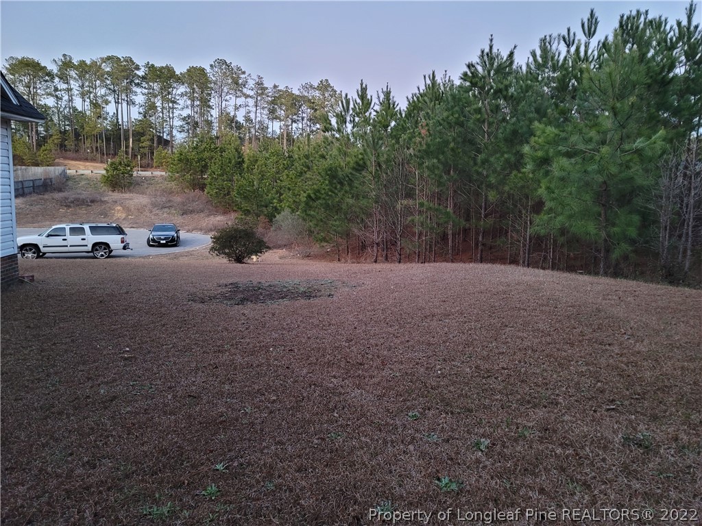 409 Bramblegate Road Hope Mills, NC 28348 - Photo 5 of 7 Gallery Image 5