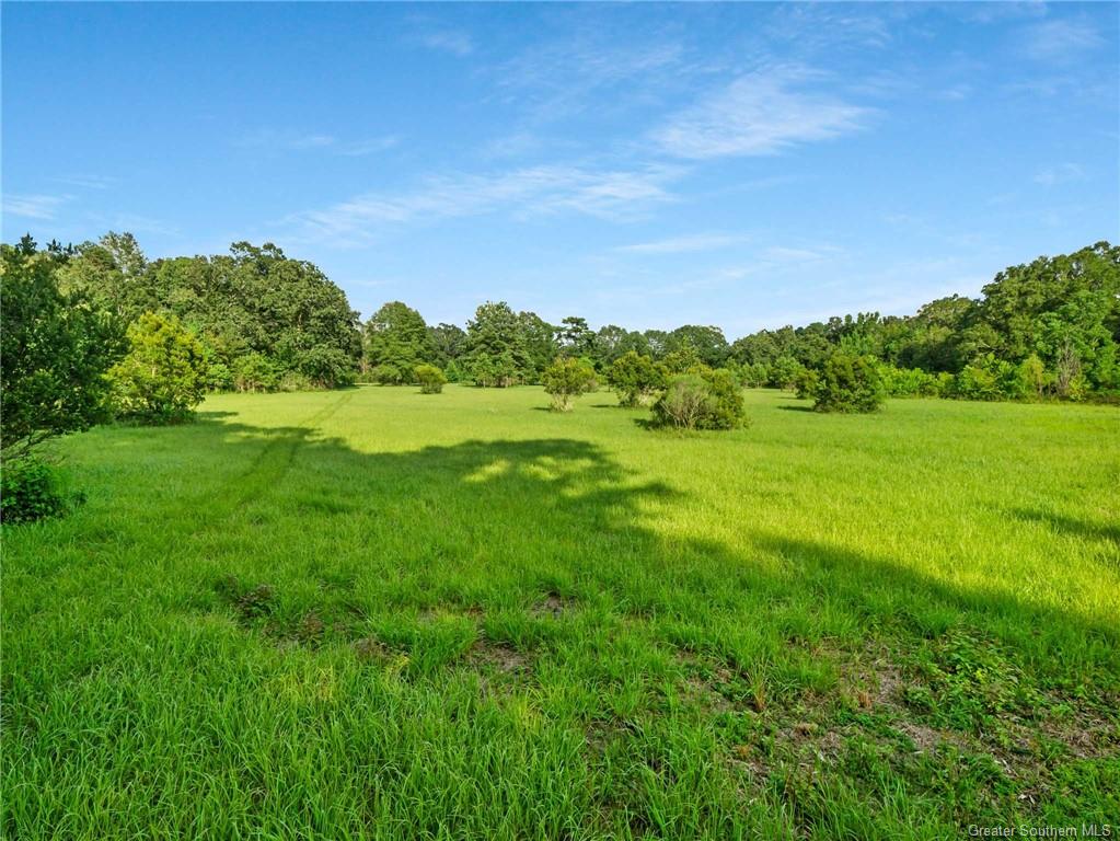 19260 Austin Varnado Road Franklinton, LA 70438 - Photo 28 of 32 Gallery Image 28