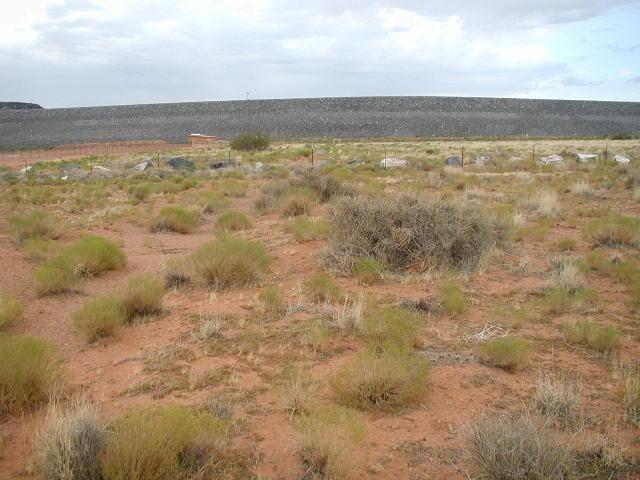 photo of dixie springs area