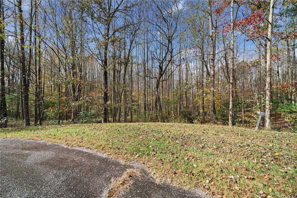 14 Highpoint Ridge Ellijay, GA 30536 - Photo 9 of 24 Gallery Image 9