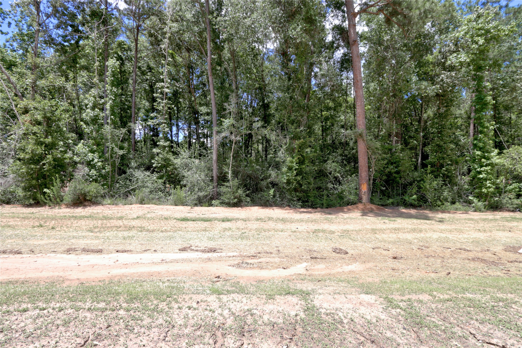 258 Heartland Road New Waverly, TX 77358 - Photo 13 of 27 Ground Shots of Lot with beautiful trees ready for your dream home
