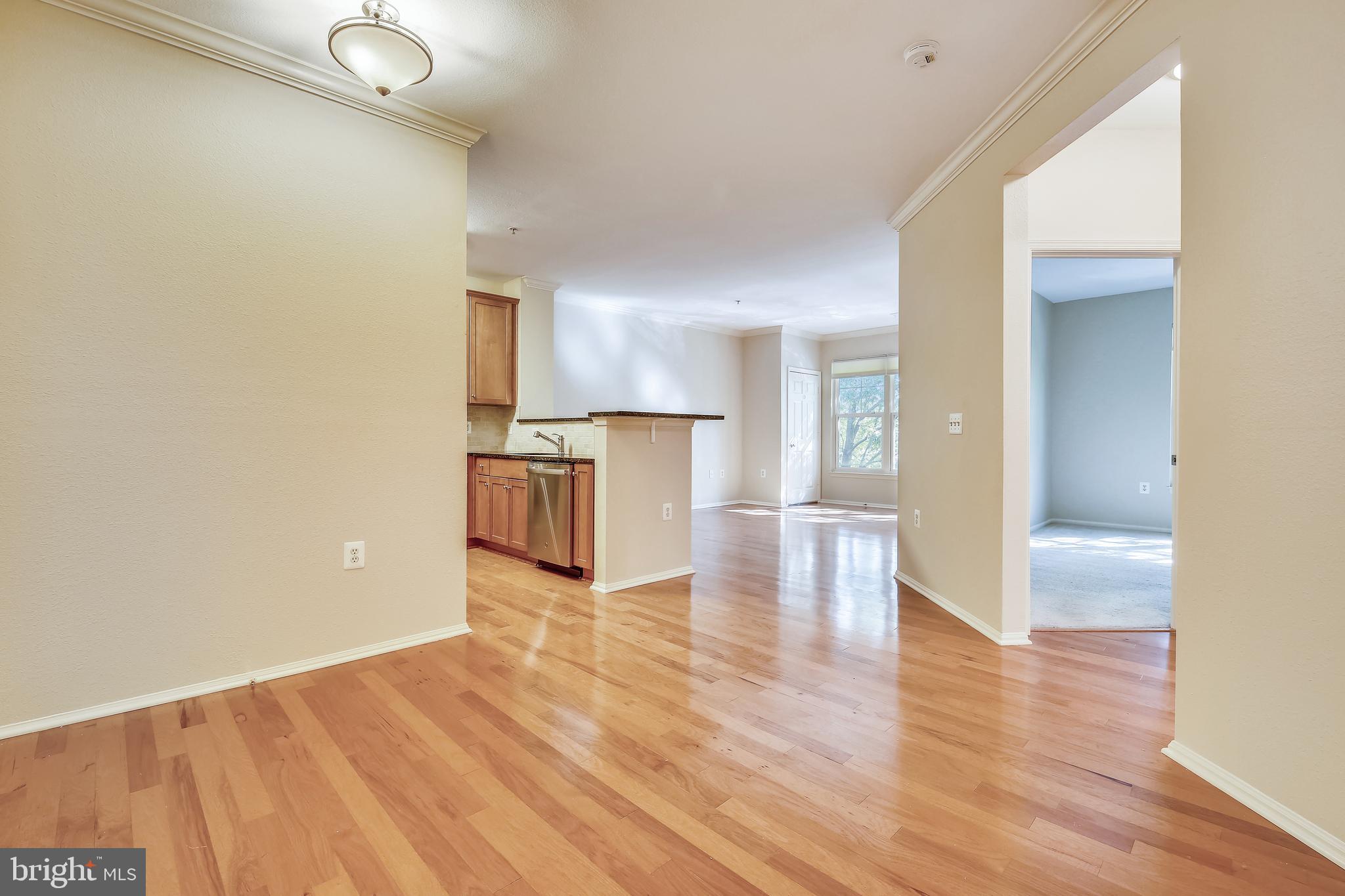 11750 Old Georgetown Road, Unit 2404 North Bethesda, MD 20852 - Photo 4 of 62