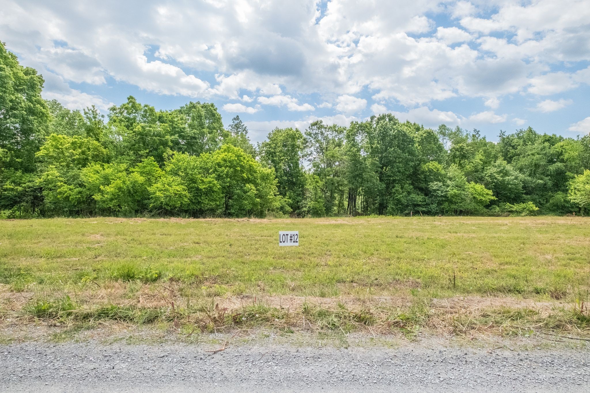8489 Hoskins Hollow Road Westmoreland, TN 37186 - Photo 26 of 36