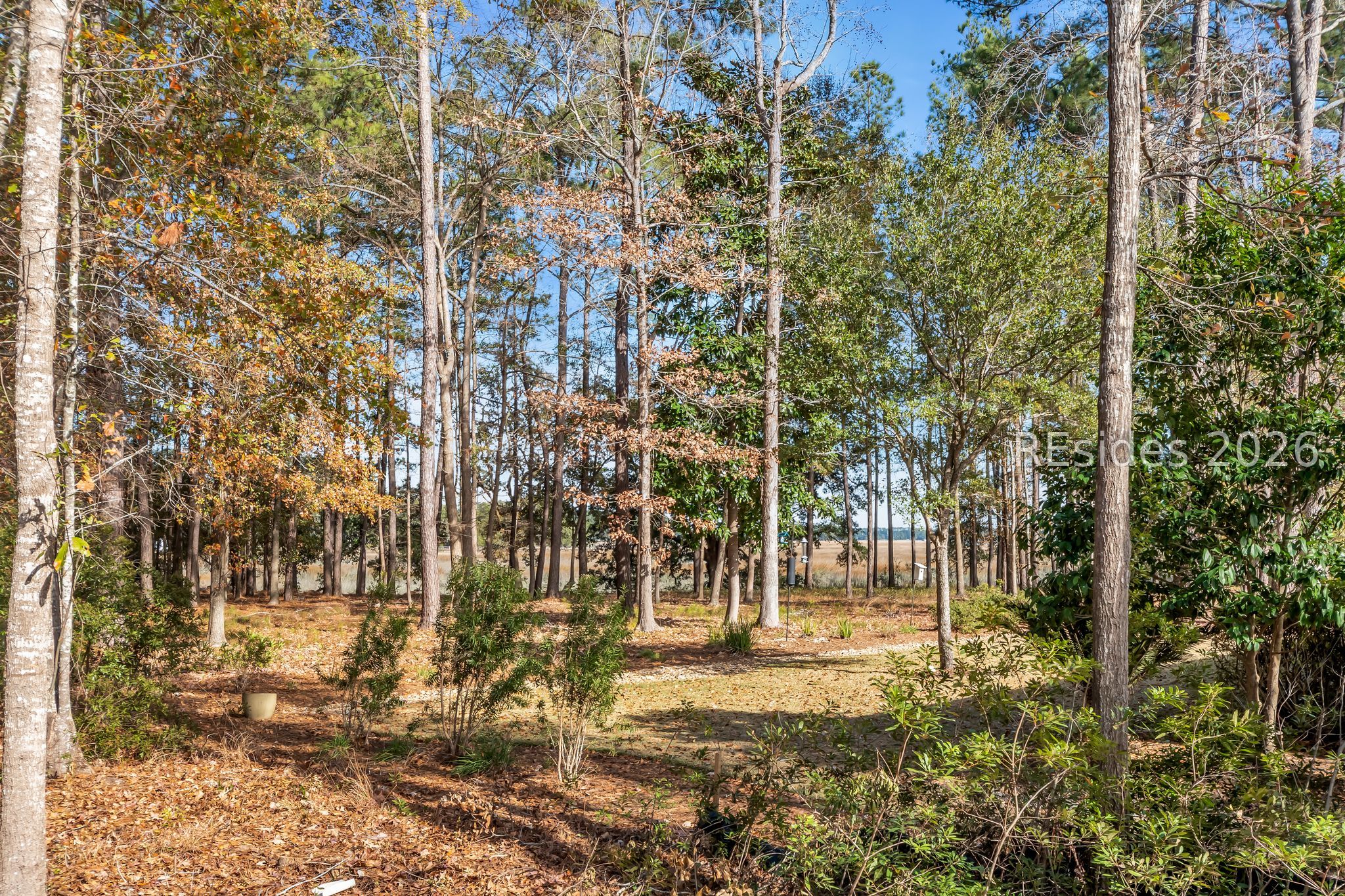 146 Cutter Circle Bluffton, SC 29909 - Photo 11 of 14