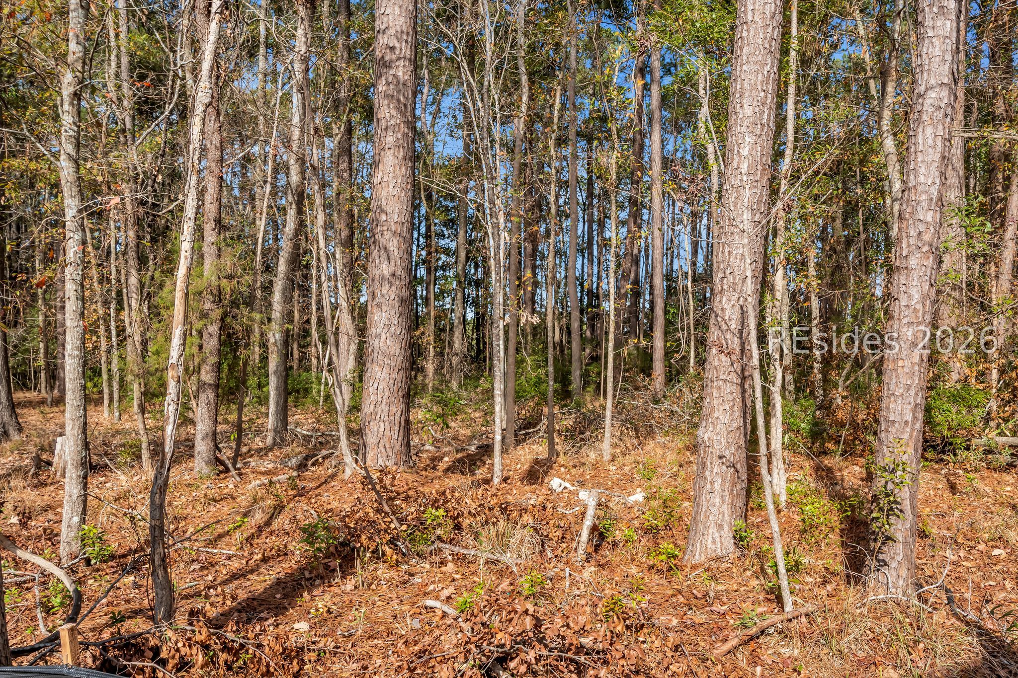 146 Cutter Circle Bluffton, SC 29909 - Photo 10 of 14