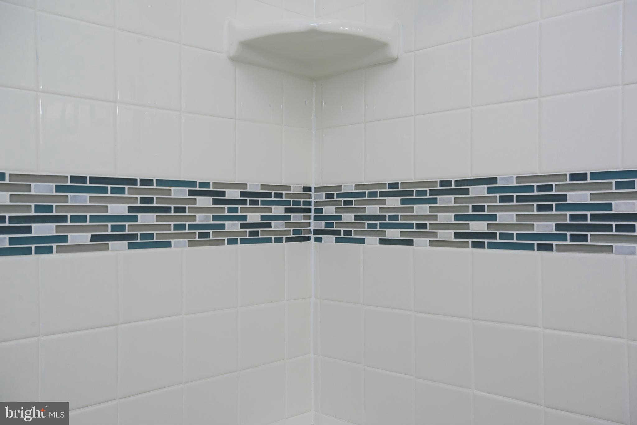 12010 Bluhill Road Silver Spring, MD 20902 - Photo 21 of 30 Closeup of Bathtub Tile