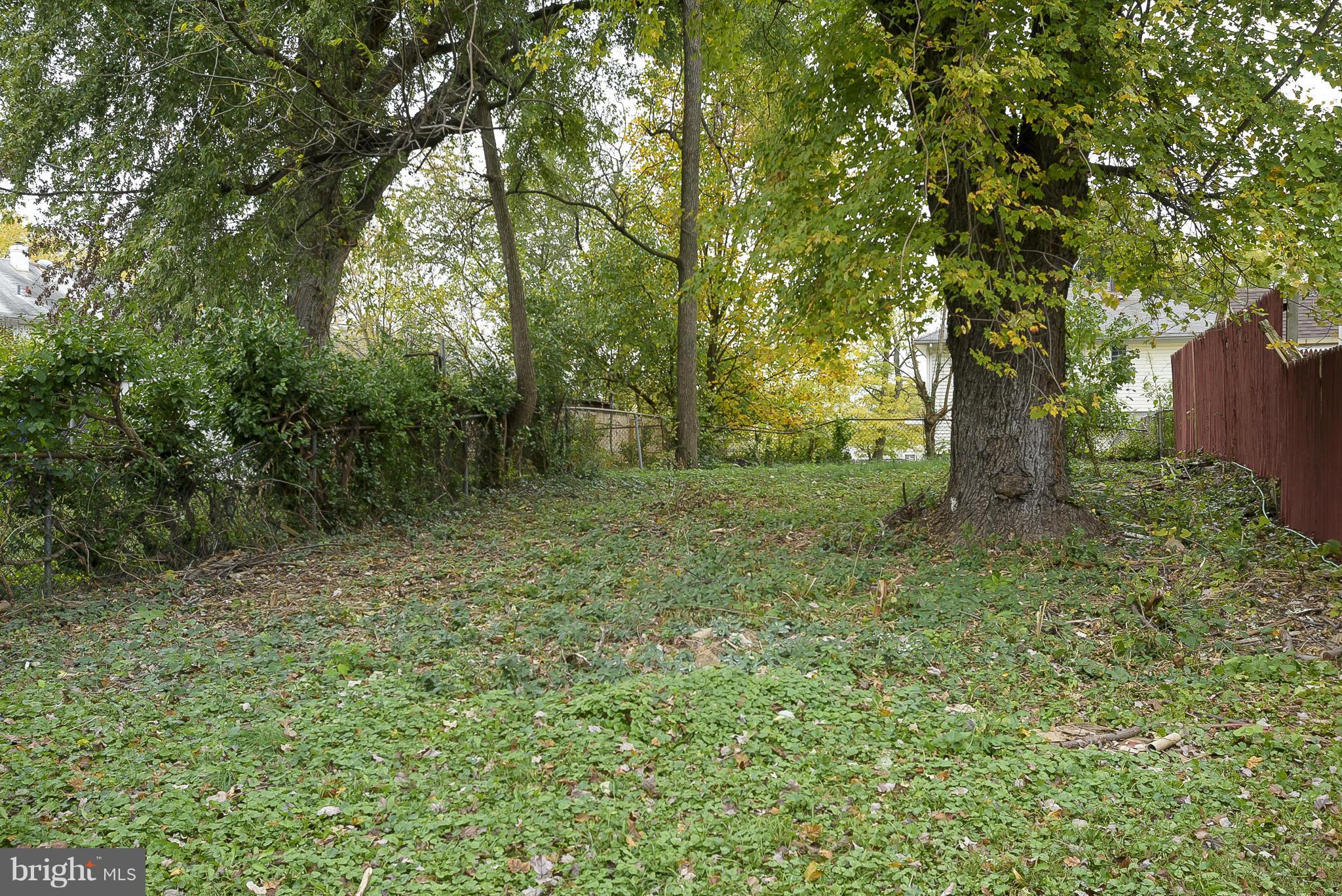 12010 Bluhill Road Silver Spring, MD 20902 - Photo 29 of 30 Expansive Fenced Yard