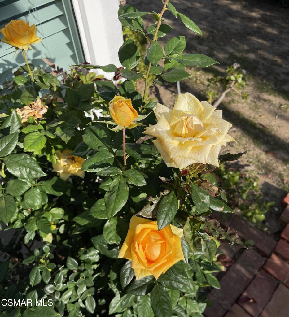 4881 Muirwood Court Simi Valley, CA 93063 - Photo 26 of 32 a view of a tree