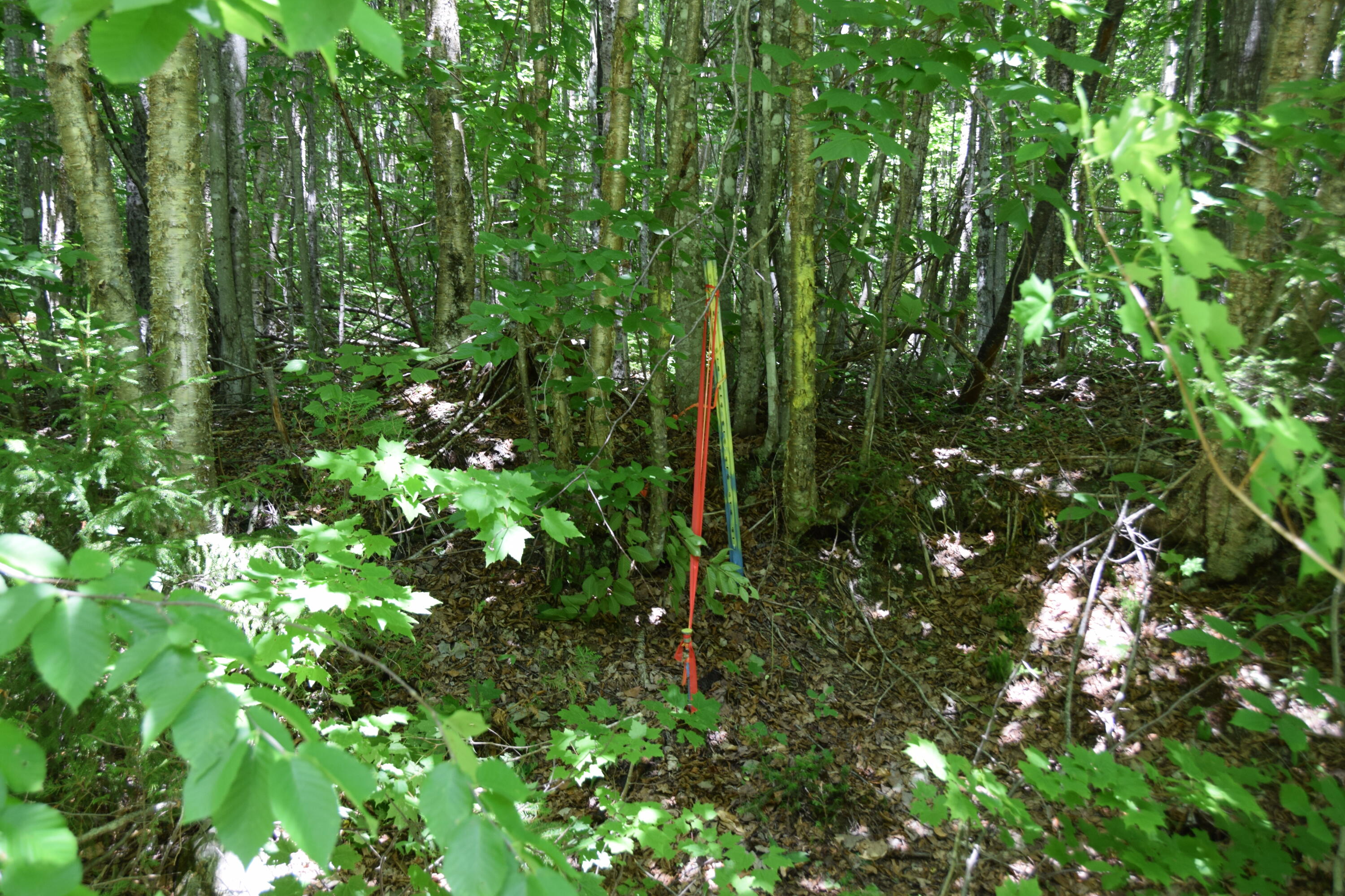 Mso3-l16 Flow Road New Portland, ME 04961 - Photo 1 of 30 DSC_0001