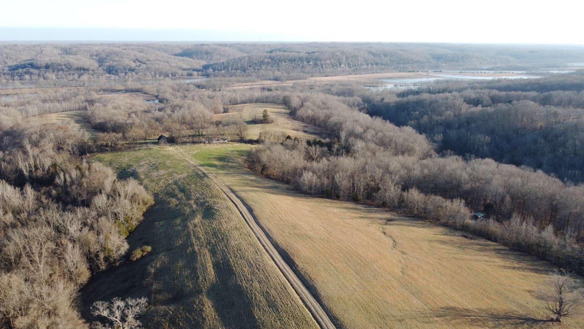 a view of a dry yard with trees