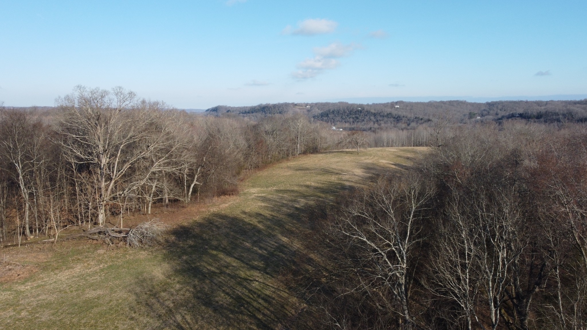 0 Cooksey Batson Road Charlotte, TN 37036 - Photo 17 of 32 a view of a dry yard with trees