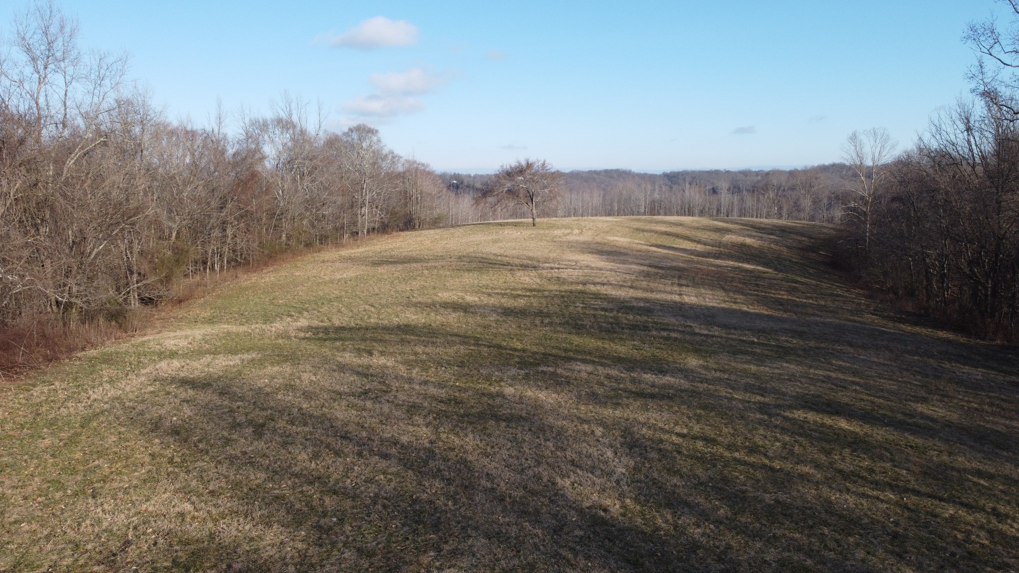 0 Cooksey Batson Road Charlotte, TN 37036 - Photo 18 of 32 a view of a field with mountains in the background