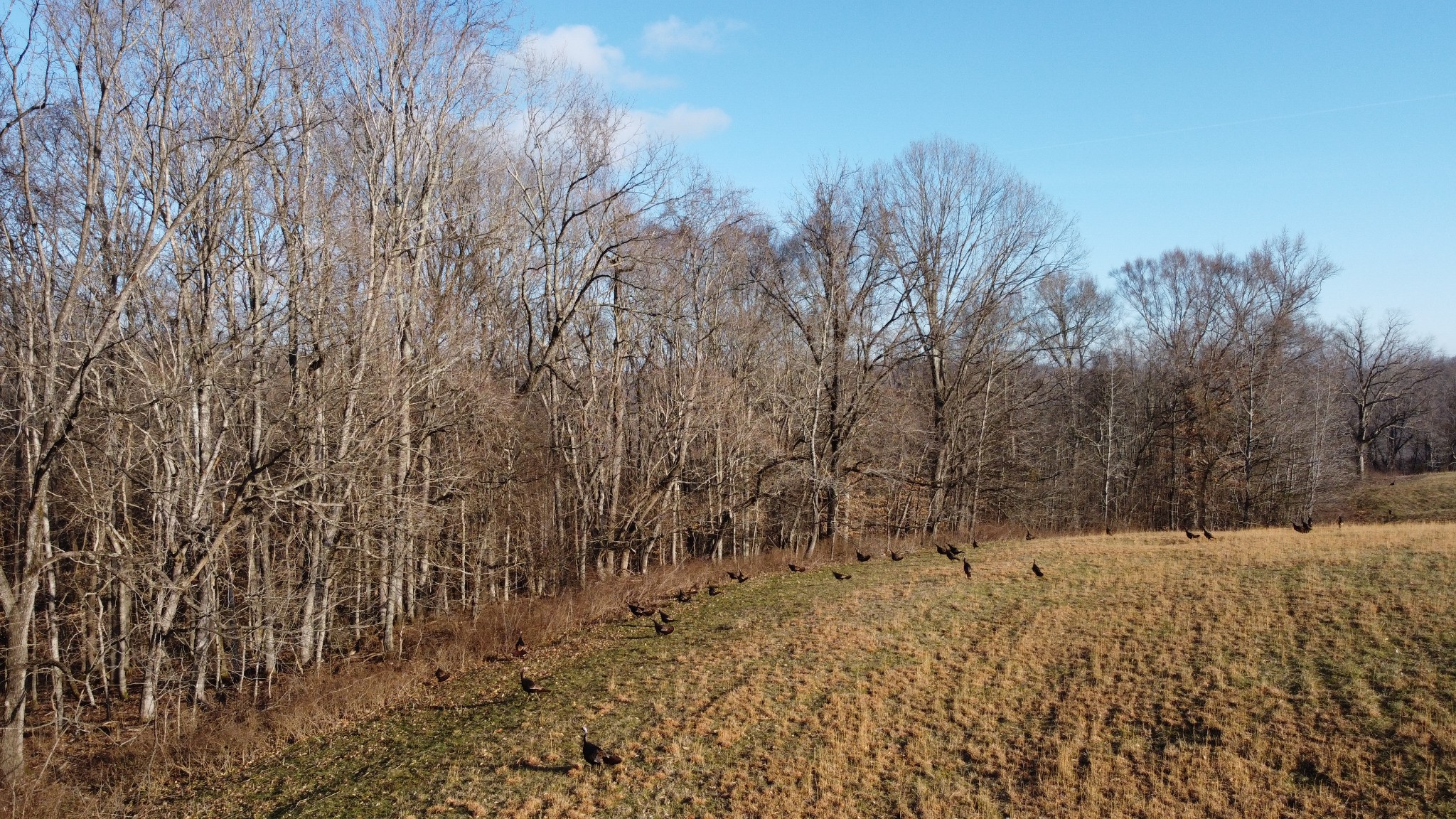 0 Cooksey Batson Road Charlotte, TN 37036 - Photo 19 of 32