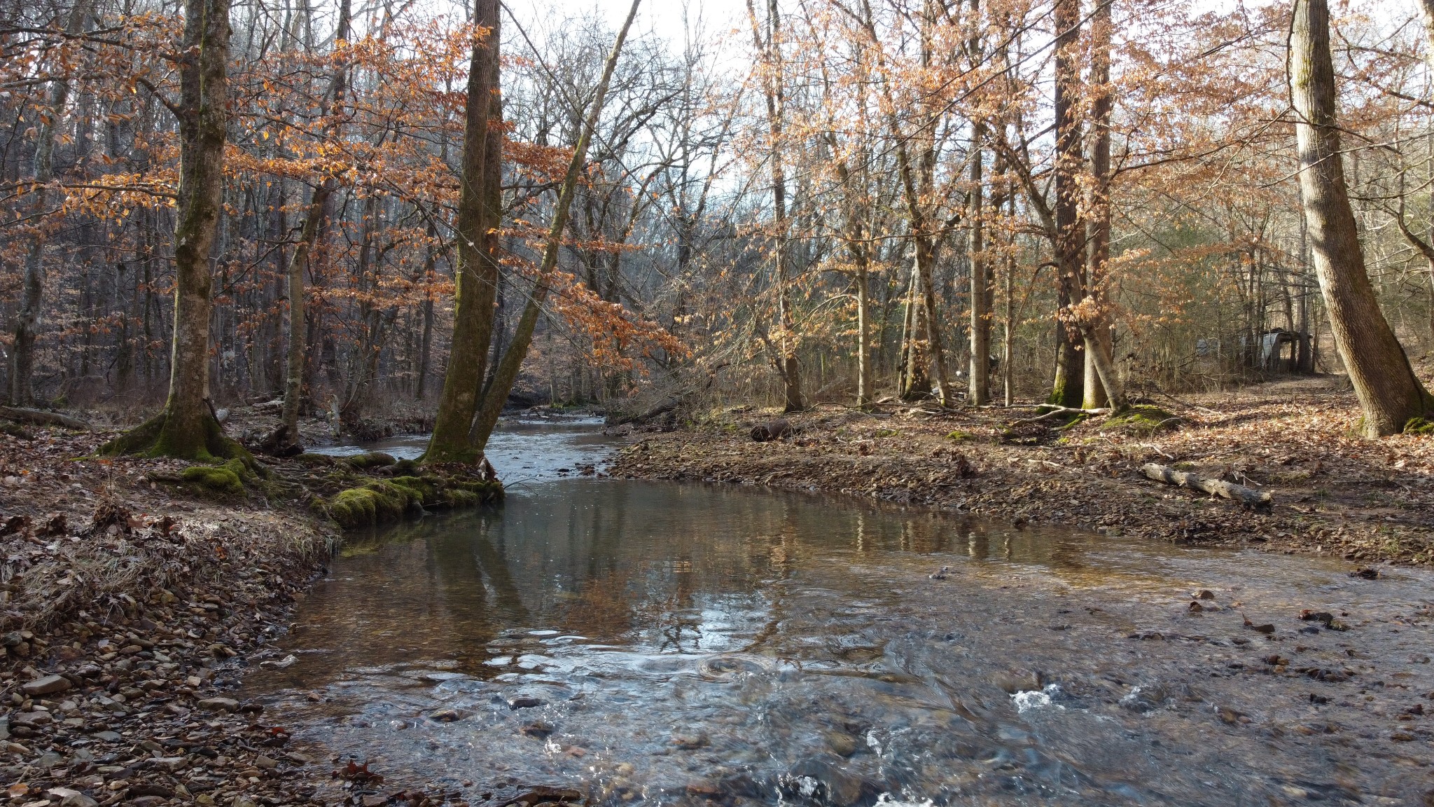 0 Cooksey Batson Road Charlotte, TN 37036 - Photo 22 of 32