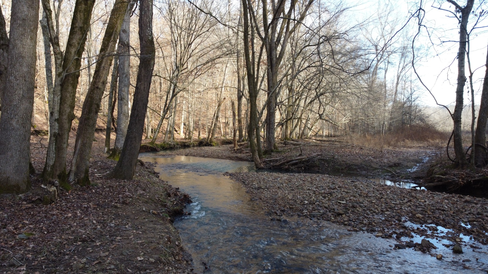 0 Cooksey Batson Road Charlotte, TN 37036 - Photo 23 of 32 a view of dirt yard with a large tree