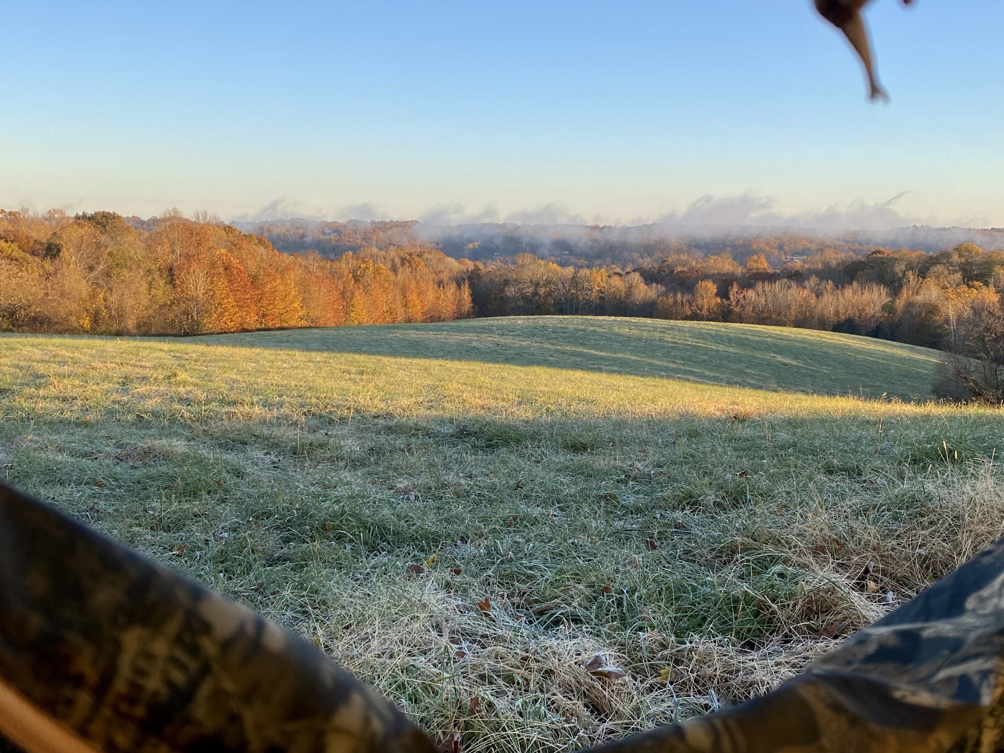 0 Cooksey Batson Road Charlotte, TN 37036 - Photo 25 of 32 a view of an outdoor space and a yard