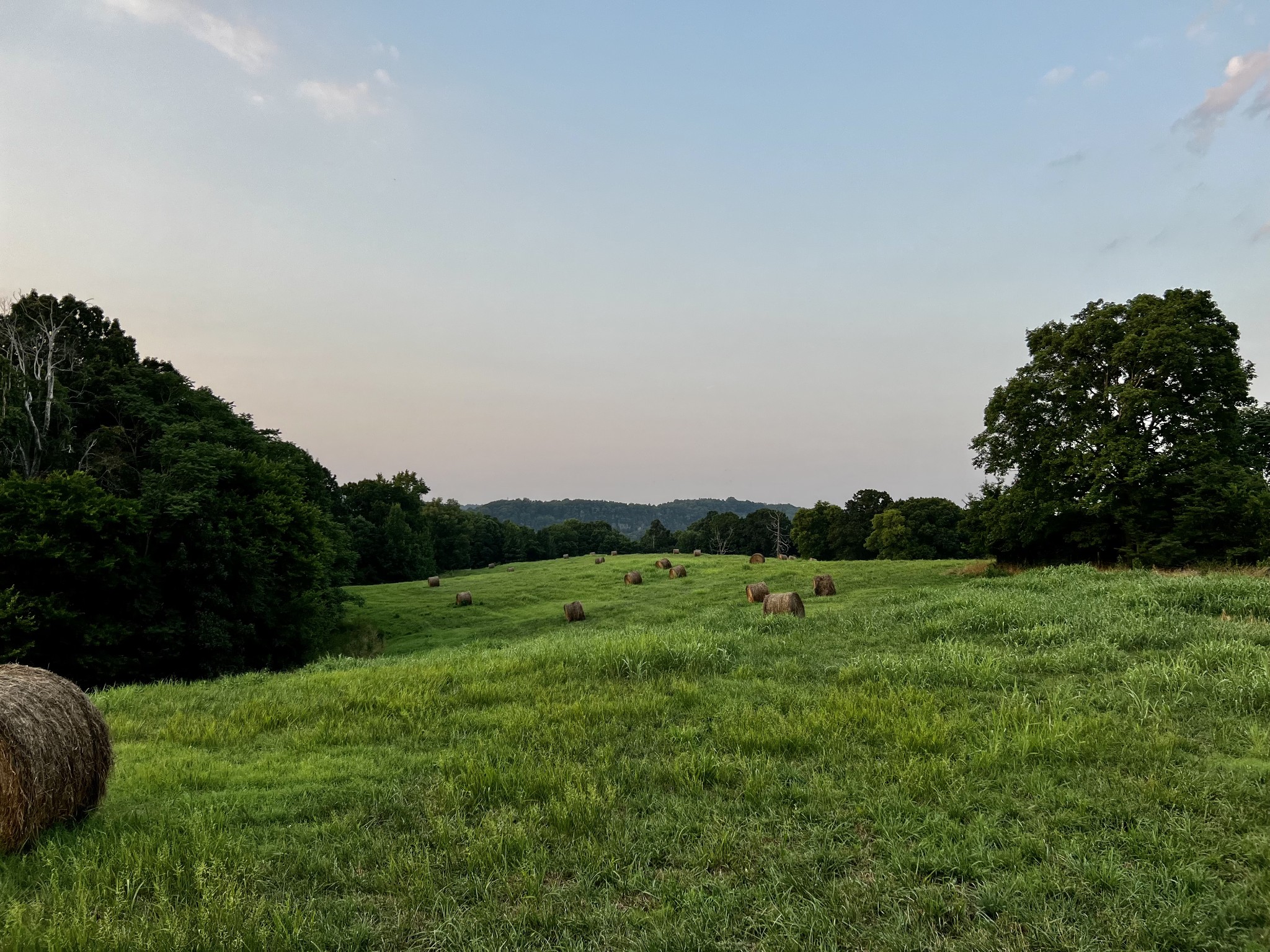 0 Cooksey Batson Road Charlotte, TN 37036 - Photo 28 of 32 a view of an outdoor space and a yard