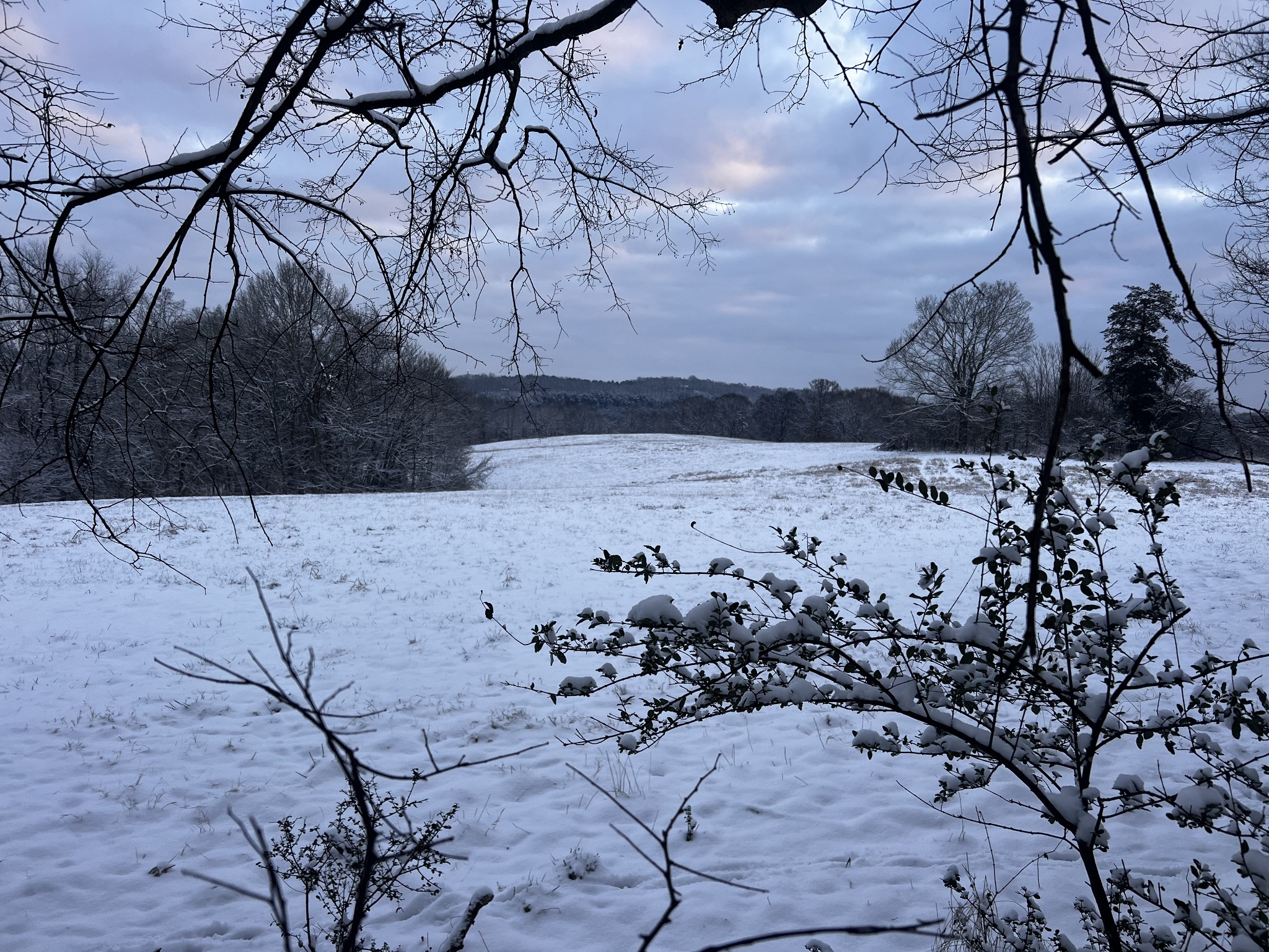 0 Cooksey Batson Road Charlotte, TN 37036 - Photo 29 of 32 a view of snow on the road