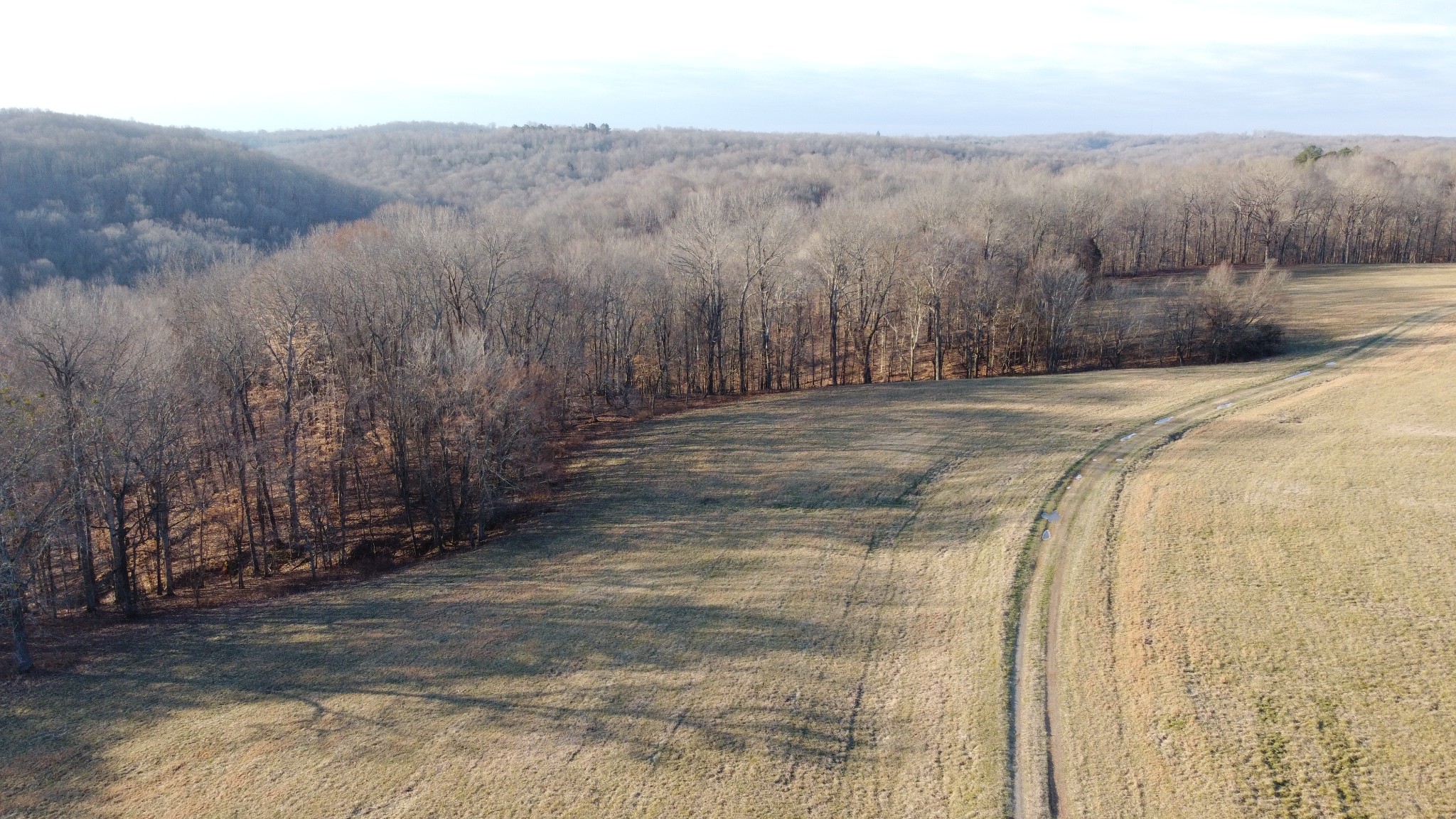 0 Cooksey Batson Road Charlotte, TN 37036 - Photo 3 of 32 a view of a backyard