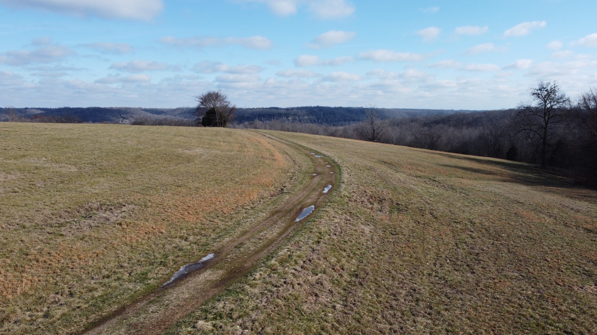 0 Cooksey Batson Road Charlotte, TN 37036 - Photo 31 of 32 a view of a dry yard with wooden fence