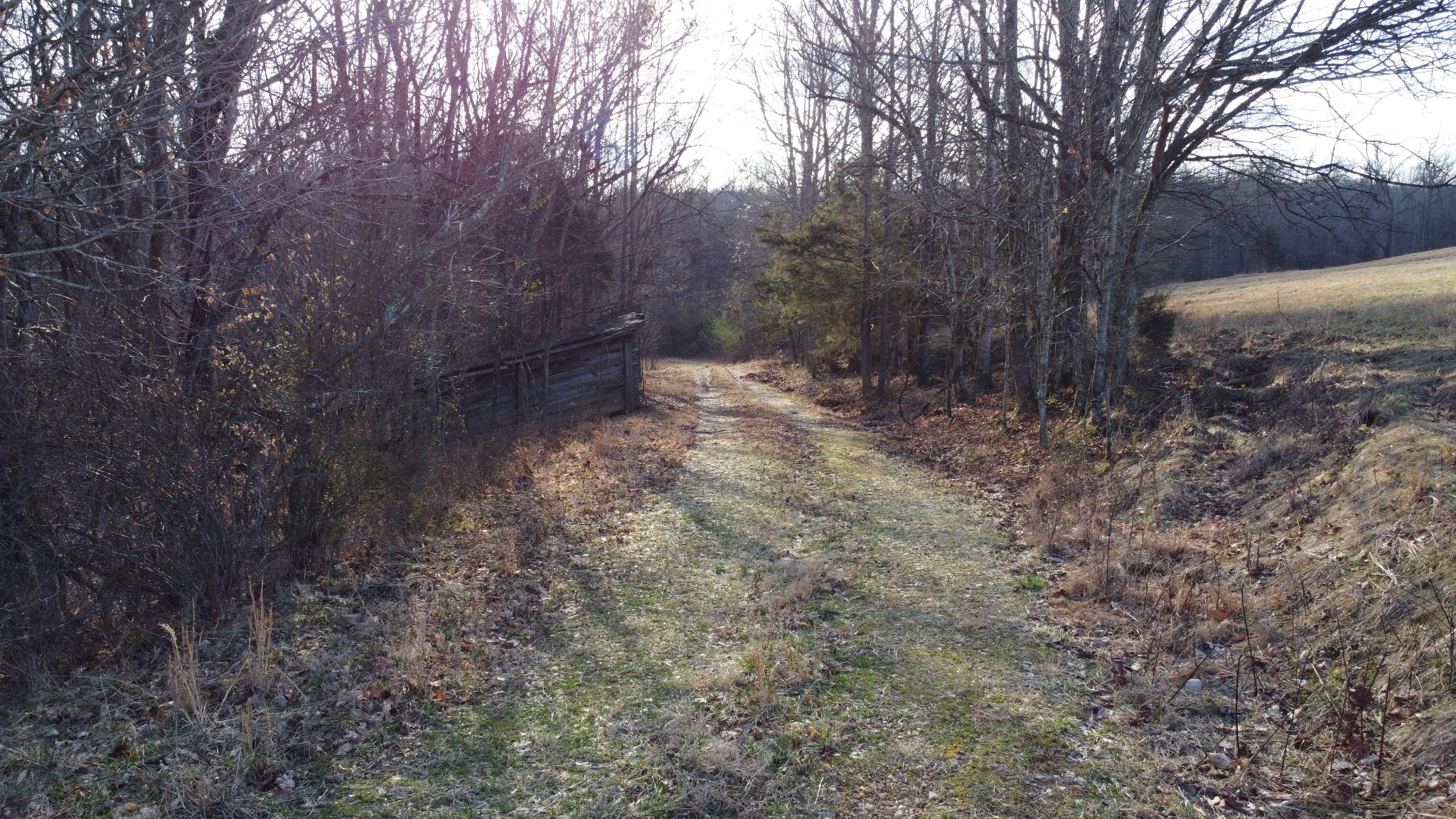 0 Cooksey Batson Road Charlotte, TN 37036 - Photo 32 of 32 a view of a yard with trees