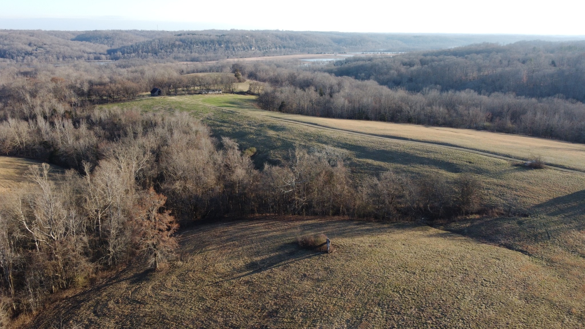 0 Cooksey Batson Road Charlotte, TN 37036 - Photo 7 of 32 a view of a dry yard with green space