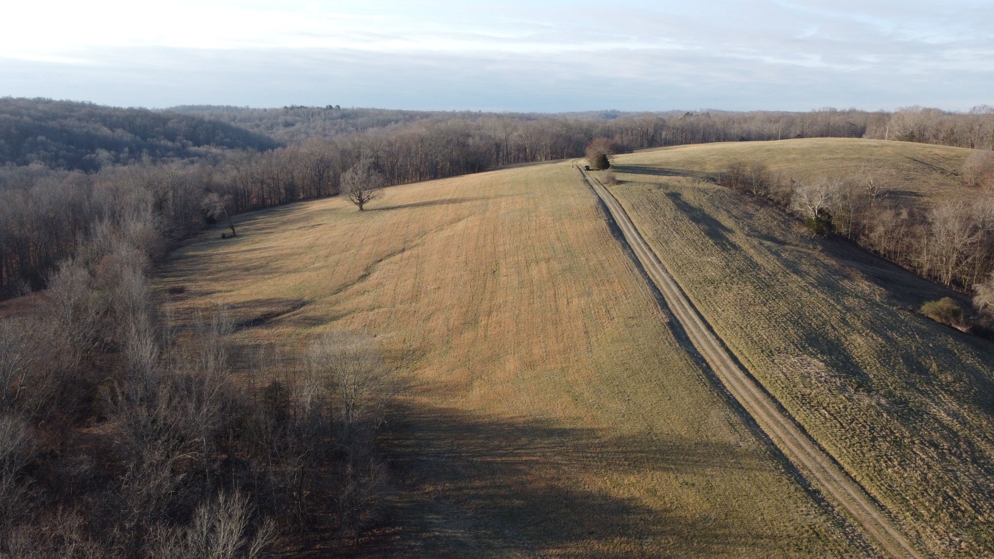 0 Cooksey Batson Road Charlotte, TN 37036 - Photo 9 of 32 a view of a dry yard with wooden fence