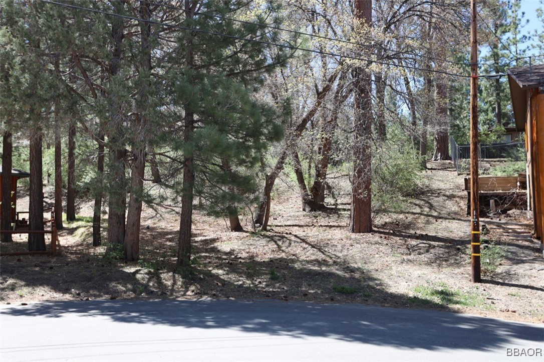 0 Avalon Road Big Bear Lake, CA 92315 - Photo 1 of 11