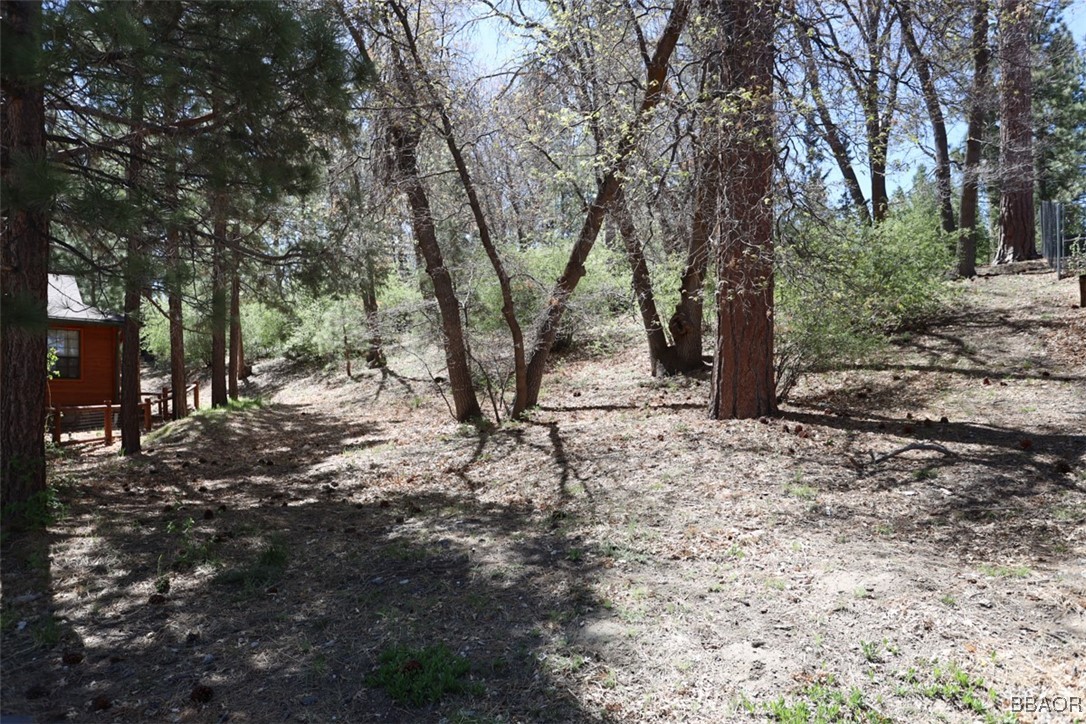 0 Avalon Road Big Bear Lake, CA 92315 - Photo 11 of 11