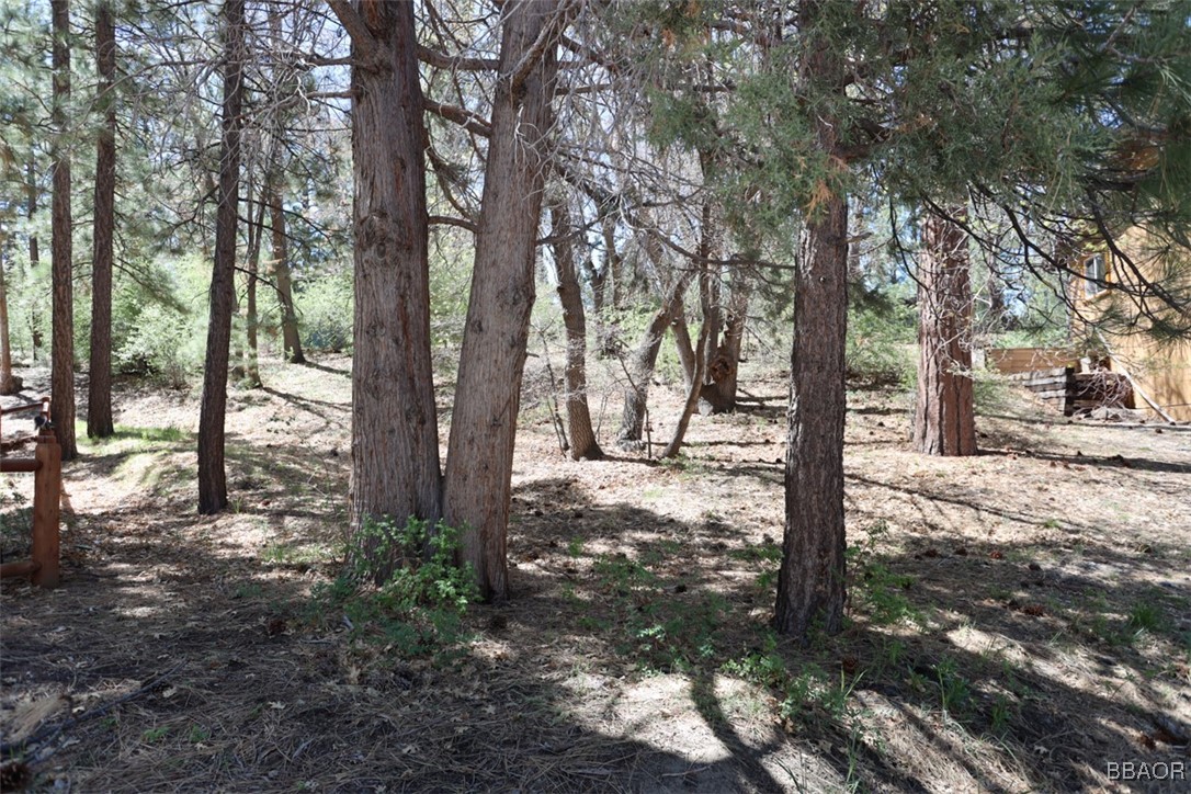 0 Avalon Road Big Bear Lake, CA 92315 - Photo 3 of 11