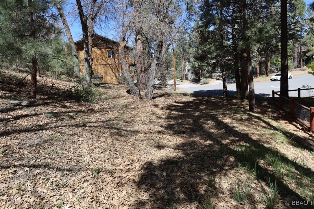 0 Avalon Road Big Bear Lake, CA 92315 - Photo 4 of 11